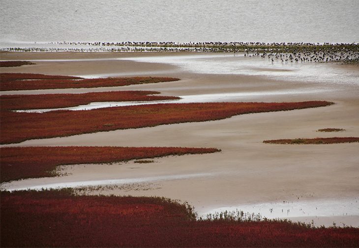 Wadden Sea