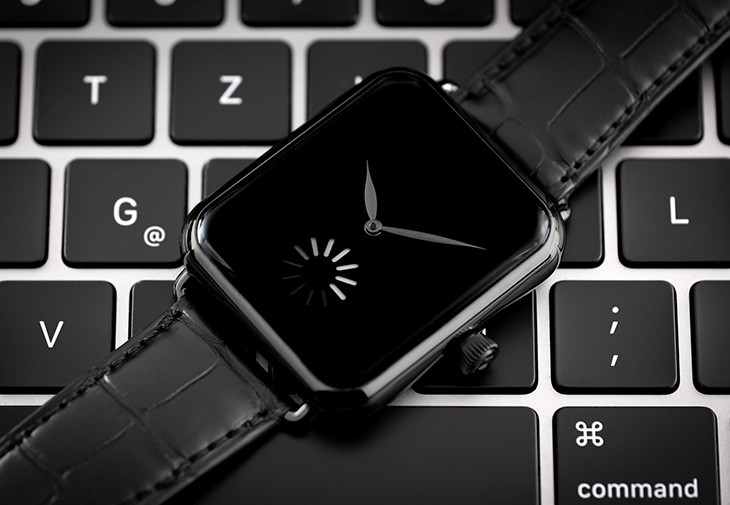 Swiss Alp Watch