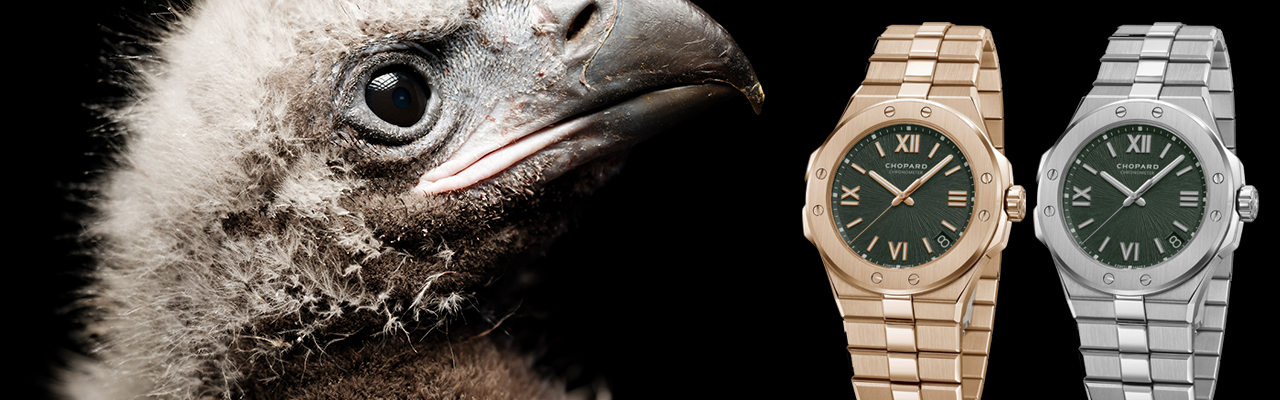 蕭邦Alpine Eagle腕錶