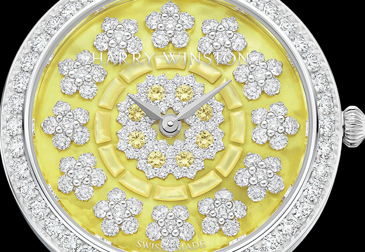 HARRY WINSTON海瑞溫斯頓Premier Sunflower Automatic 36mm