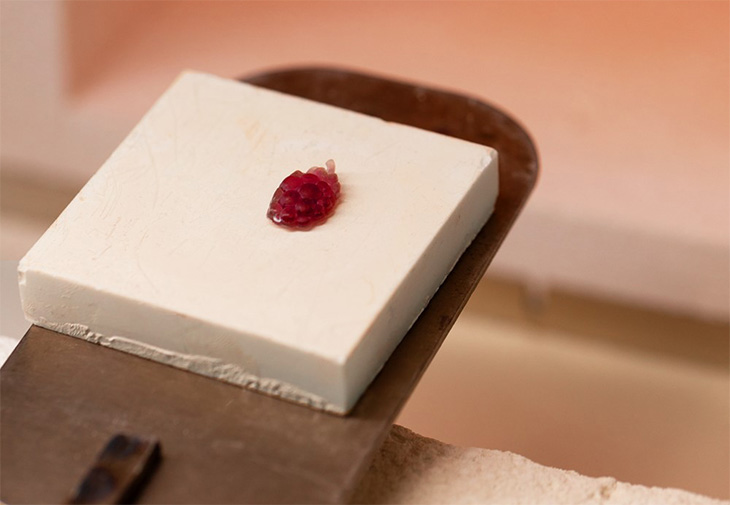 VAN CLEEF & ARPELS梵克雅寶Perlée Extraordinaire Fruits Enchantés Myrtille腕錶