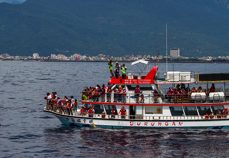 黑潮海洋文教基金會