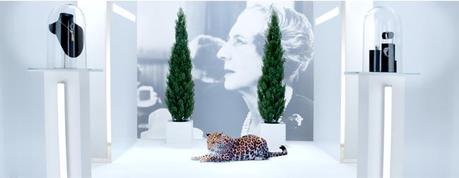 第一章：美洲豹女士 — 貞•杜桑