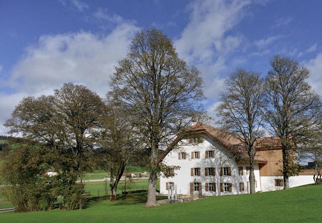 復興傳統的藝術堡壘 CARTIER 