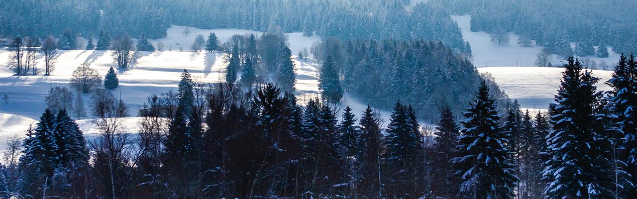 寶珀Métiers d’Art珍珠母貝剪影浮雕工藝腕錶 台灣全球獨步