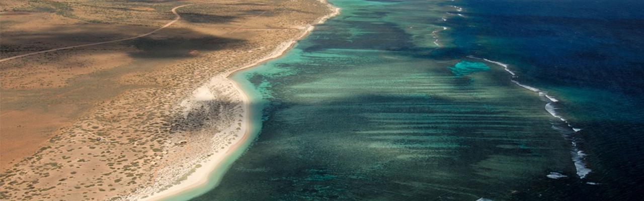 勞力士致力保護地球 與BBC聯手推出紀錄片