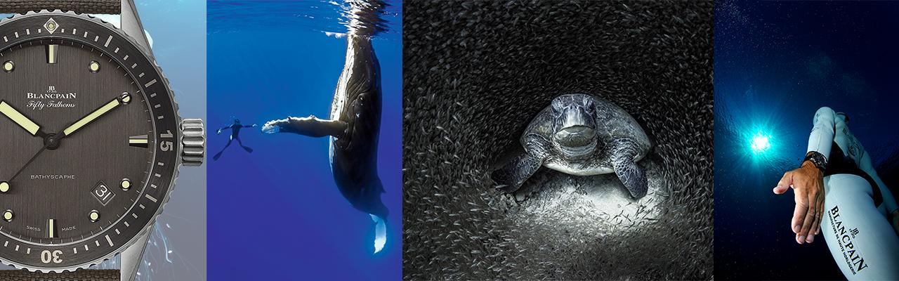 BLANCPAIN心繫海洋 串連七海 寶珀101水下攝影特展