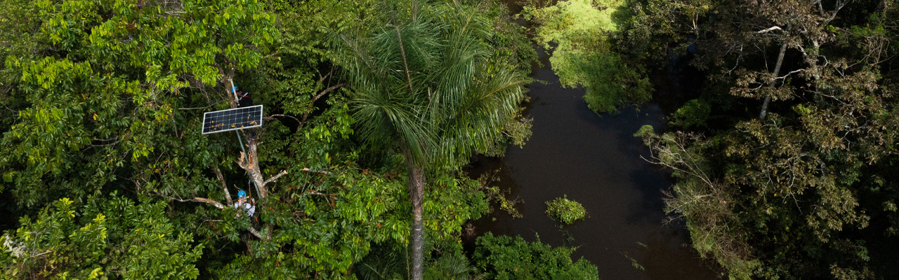 ROLEX勞力士「保護地球 · 恒動不息」計劃
