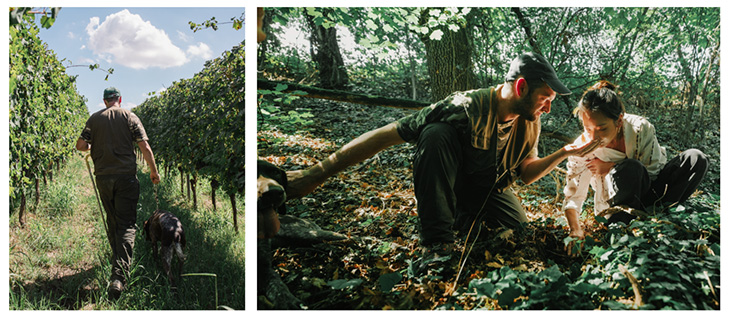 Lexus Beyond Italy典藏義大利之旅