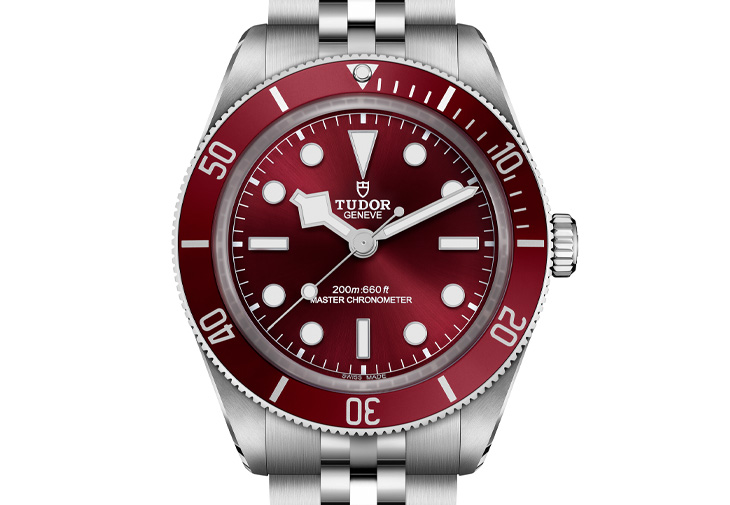 TUDOR 帝舵 Black Bay 58