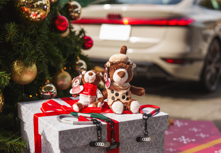 AUDI台灣奧迪「2025 德國聖誕市集」