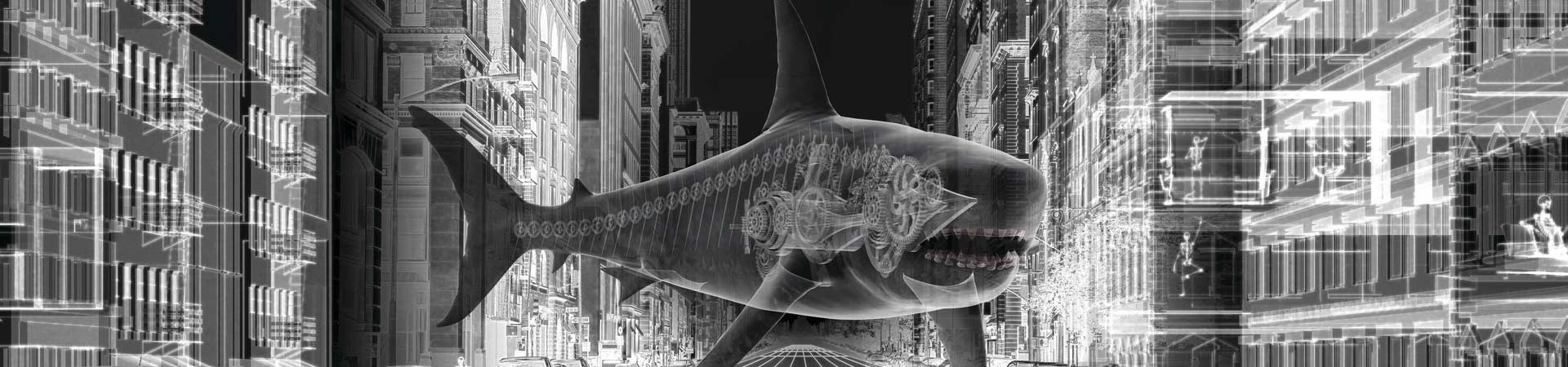 現場直擊  第零日