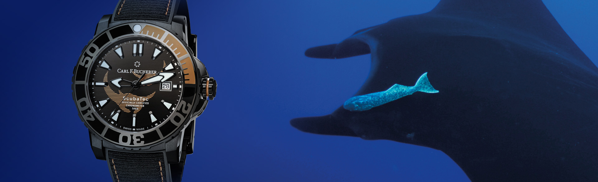 海洋王者霸氣登陸 