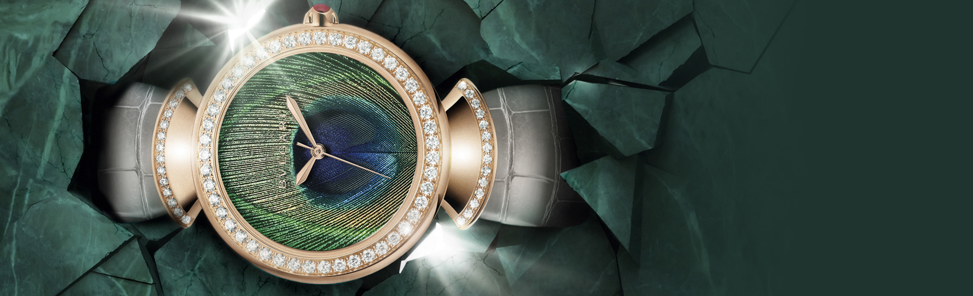 艷彩斑斕美雀羽