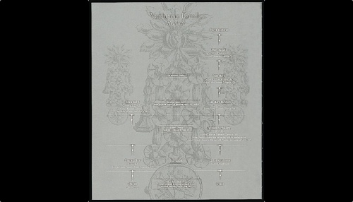 江詩丹頓的祕密 (連載故事第四回)