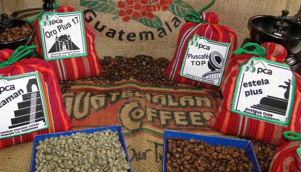 心意不同，風味有差