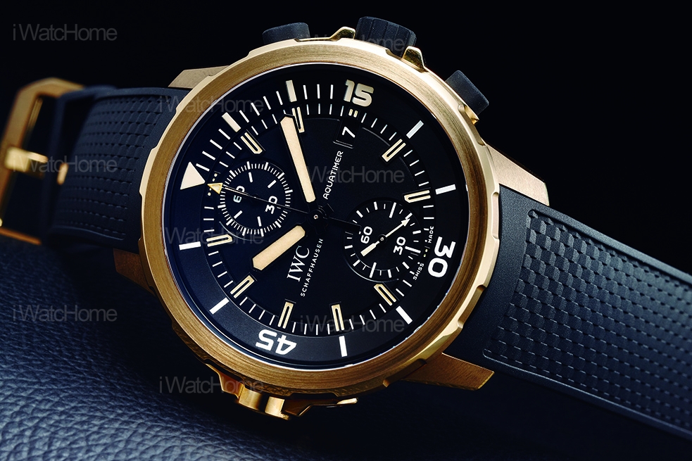 海洋計時時計腕錶「達爾文探險之旅」特別版