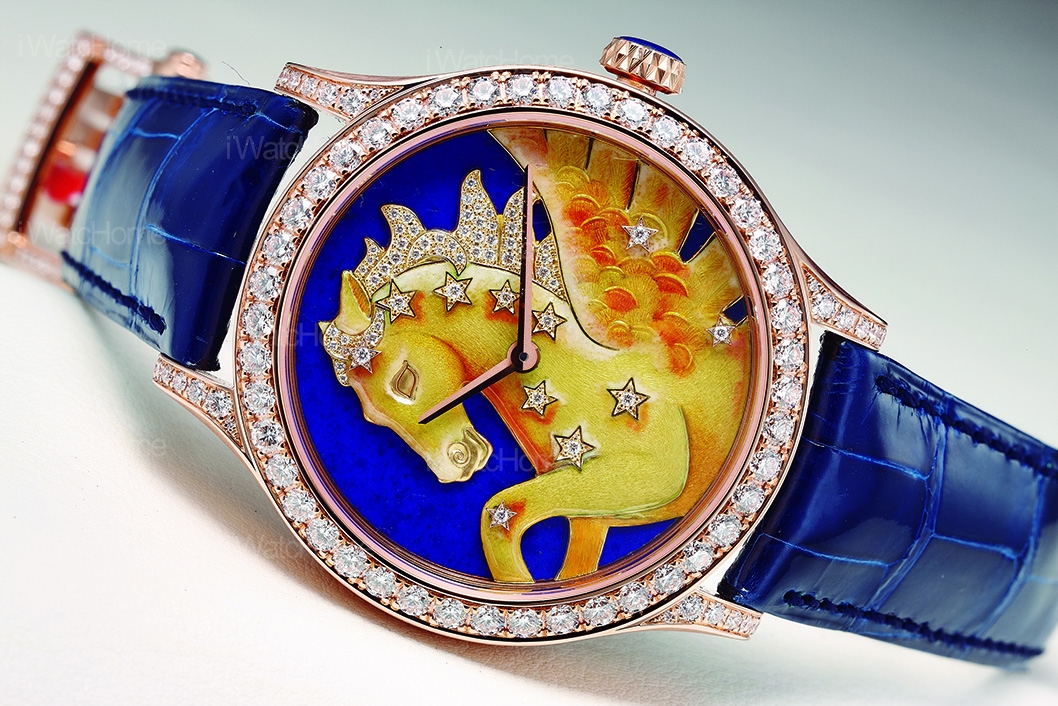 Midnight Constellation Pegasus