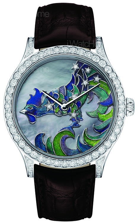 Midnight Constellation Gallus Extraordinary Dial