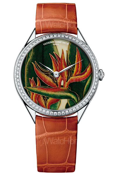 Florilege花之神殿系列 鶴望蘭女王腕錶