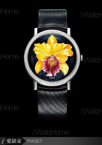 Altiplano蘭花彩繪面盤白K超薄鑲鑽腕錶