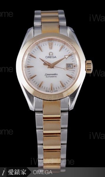 Seamaster Aqua Terra Automatic