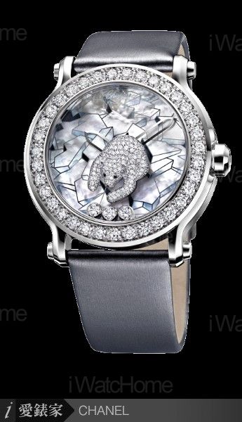 Animal Kingdom collection polar bear