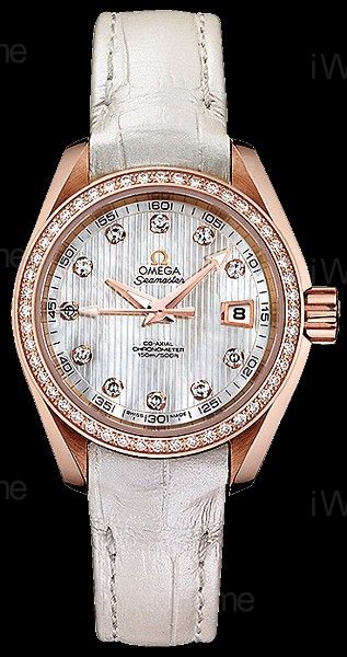 海馬系列Seamaster Aqua Terra女錶