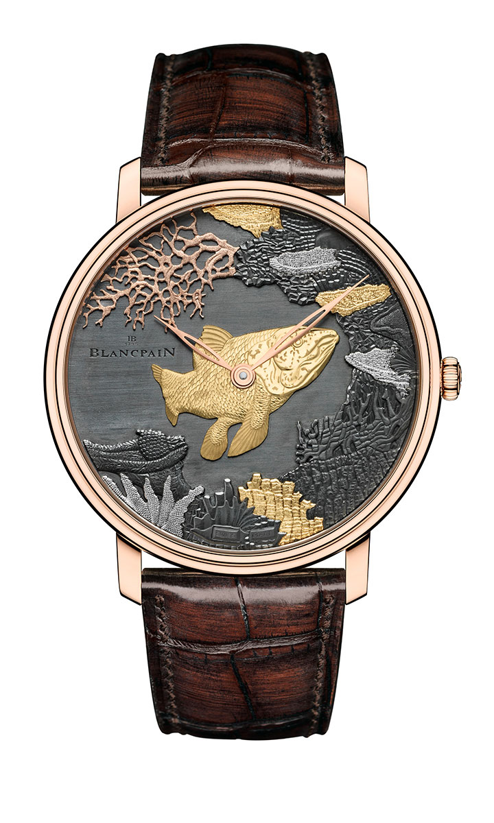 Villeret Shakudo腔棘魚