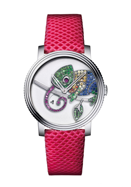 Crazy Jungle Chameleon