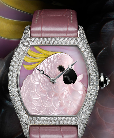 Large Model Tortue cockatoo motif