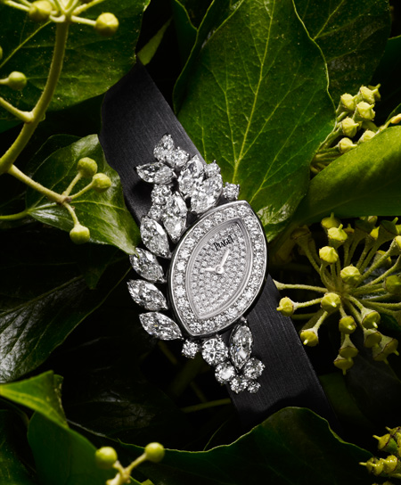 Limelight Garden Party