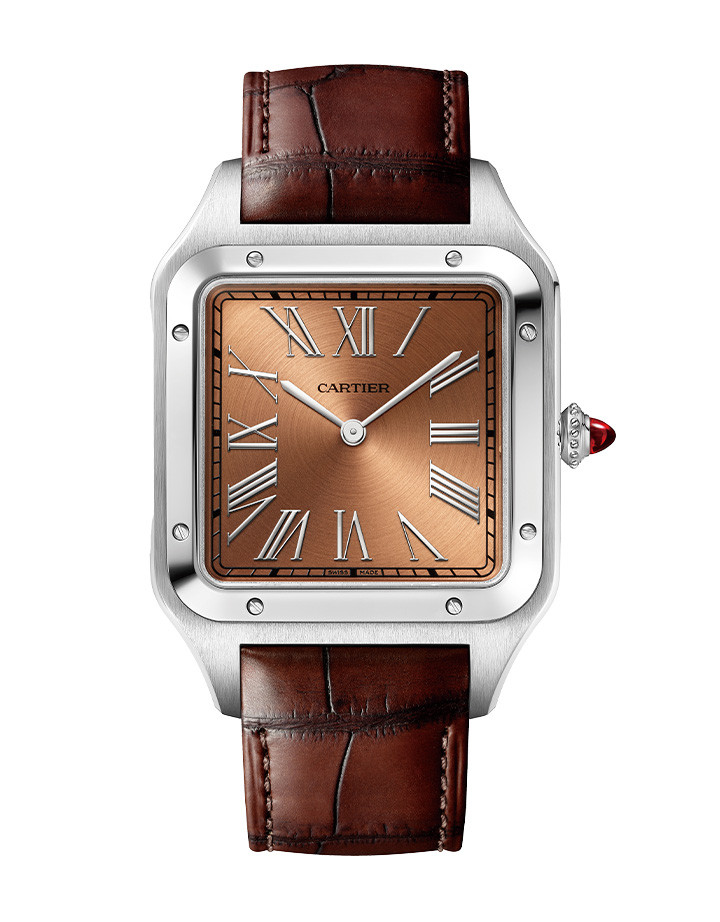 Santos de Cartier Santos-Dumont