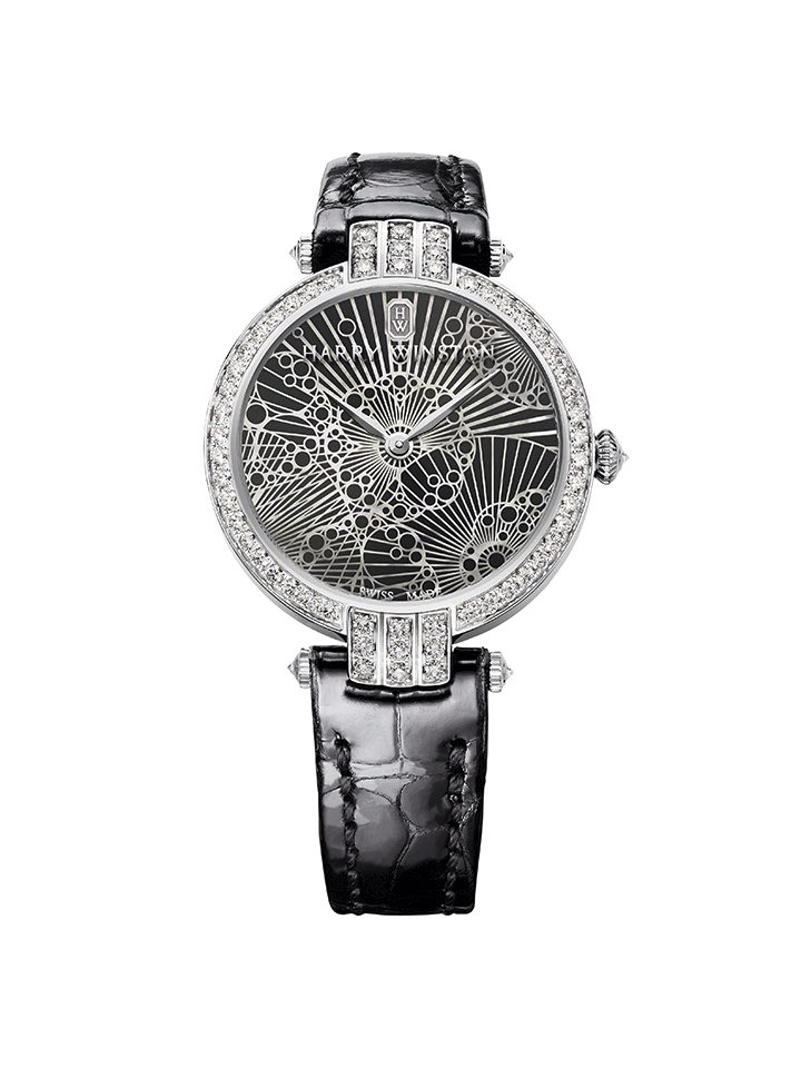 卓時Premier系列Lace 31mm