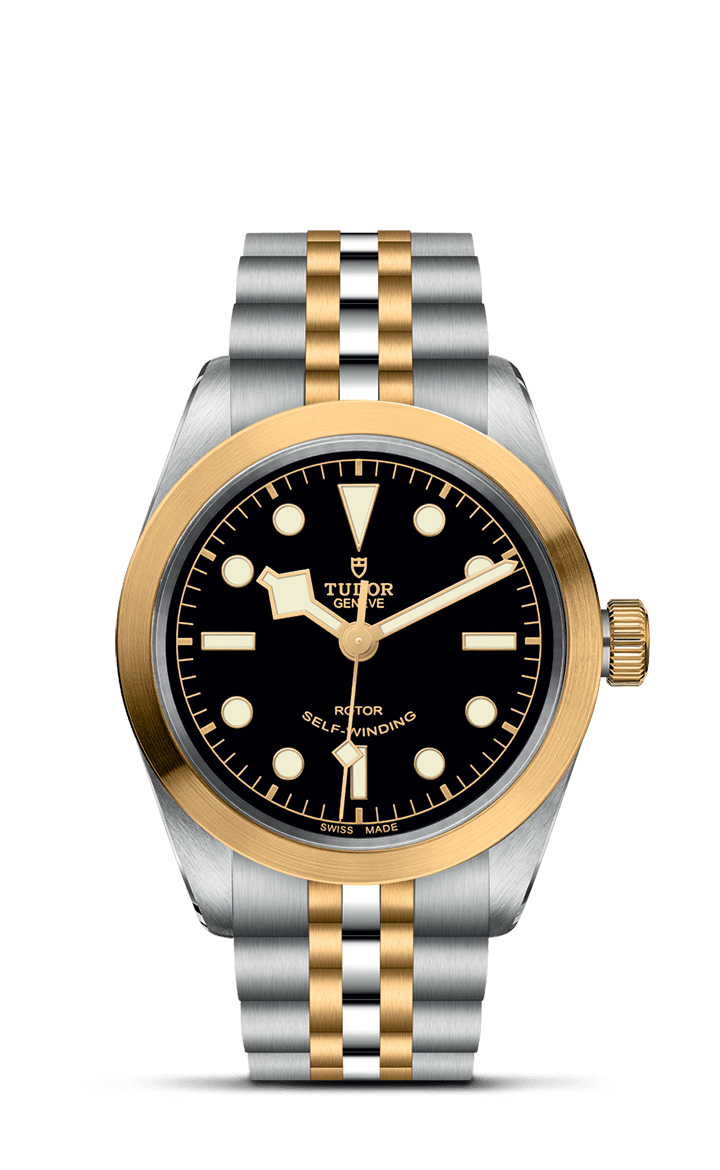 TUDOR Black Bay 36 S&G