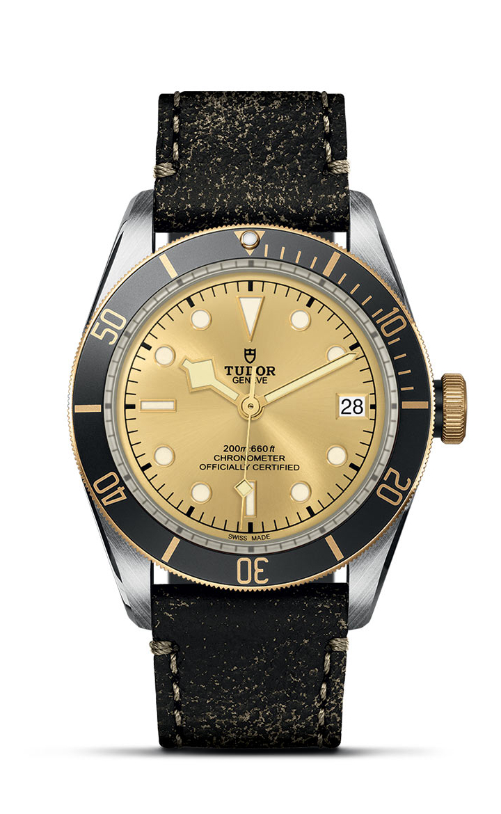 TUDOR Black Bay S&G