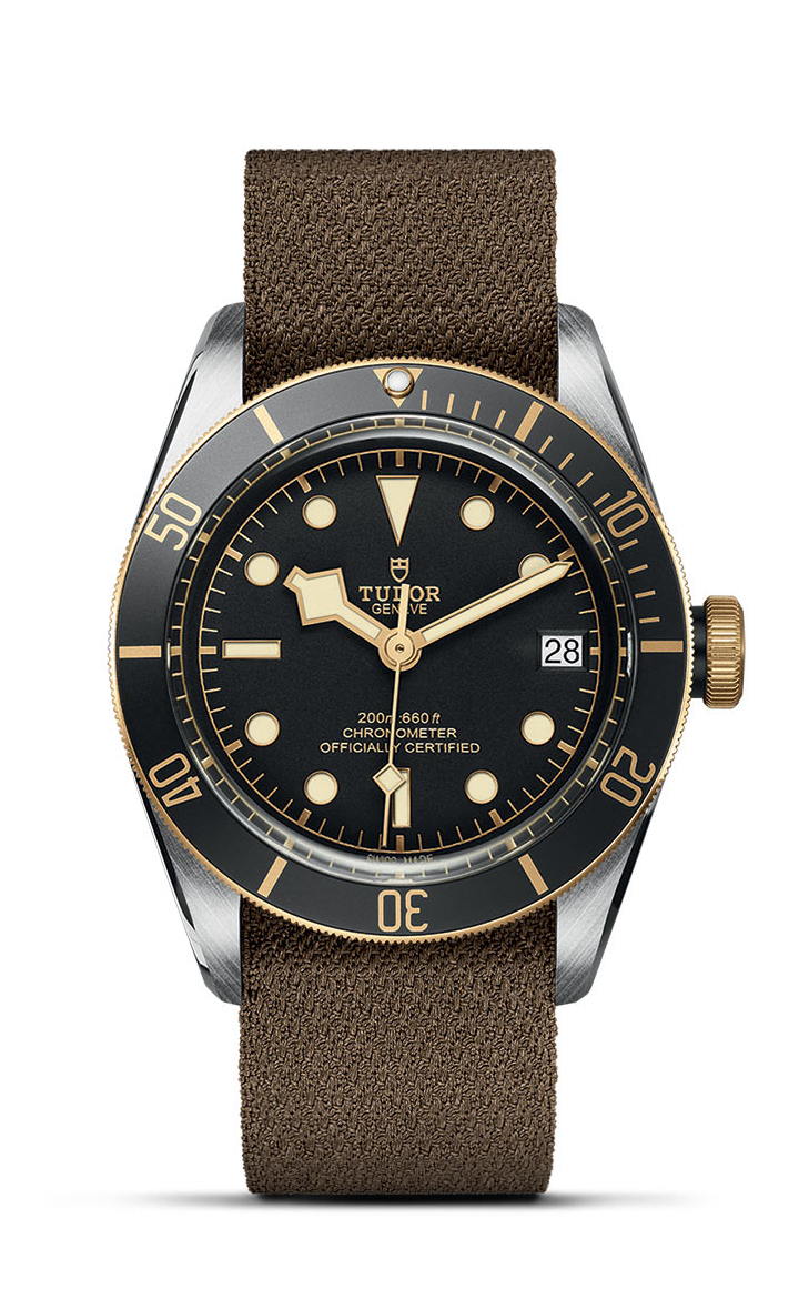 TUDOR Black Bay S&G