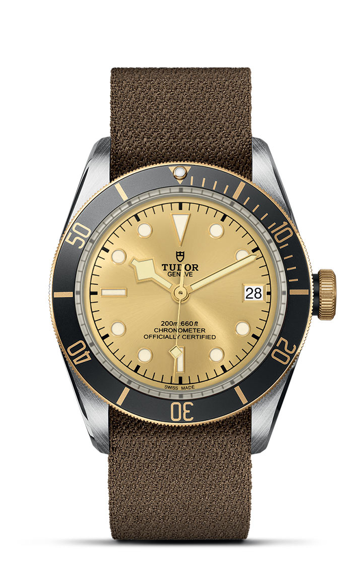 TUDOR Black Bay S&G