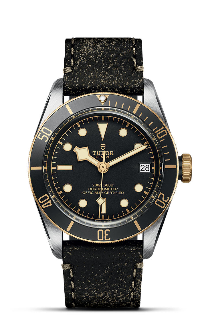 TUDOR Black Bay S&G