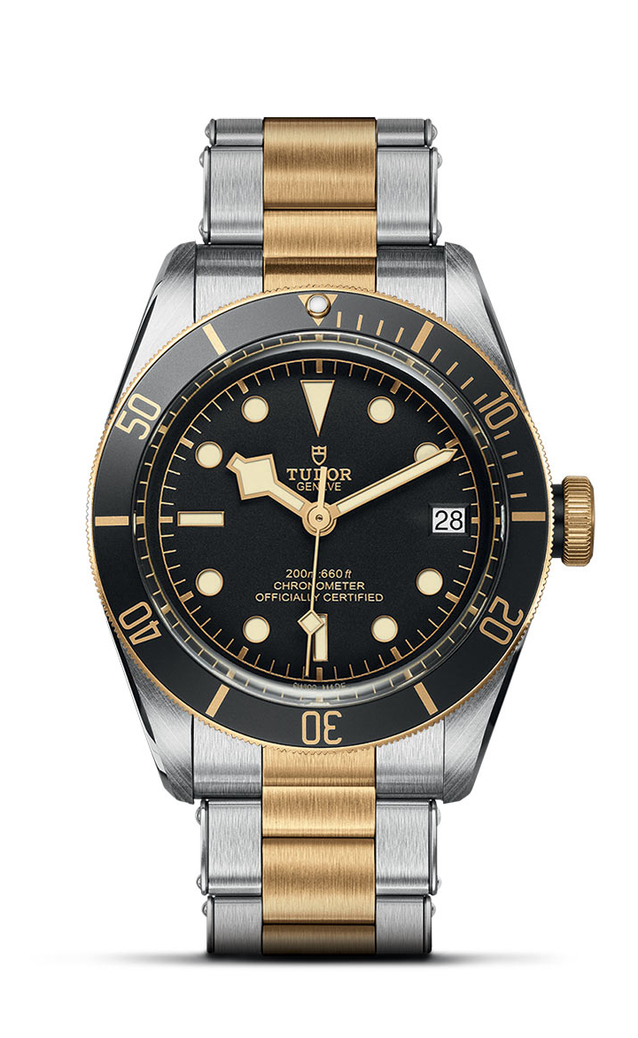 TUDOR Black Bay S&G